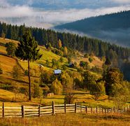 Tradiții și obiceiuri de echinocțiul de toamnă, pe 22 septembrie 2025. Recoltele sfințite capătă puteri tămăduitoare